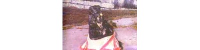 நார்த்தாம்பூண்டி